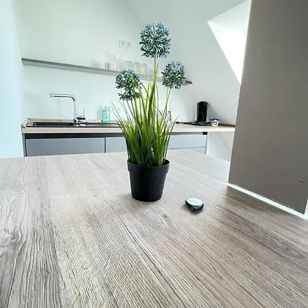 Gaestehaus Hirsch 93 Daire