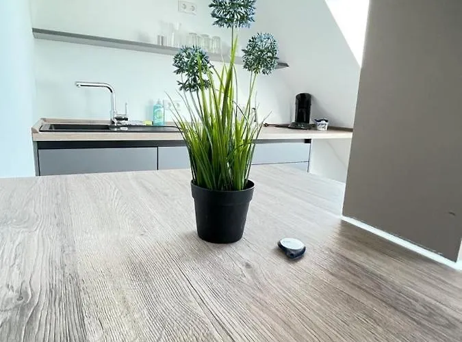 Gaestehaus Hirsch 93 Apartament